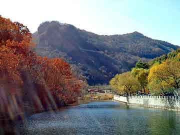 股票杠杆交易平台资讯